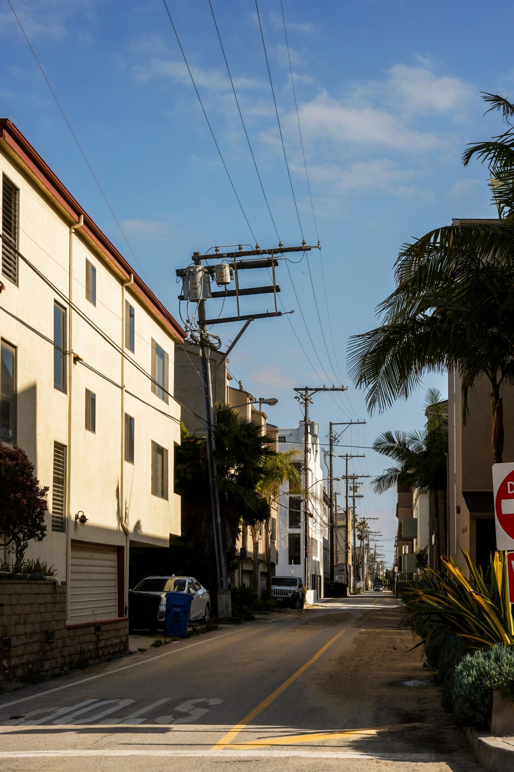 A sunlit alley with palm trees and buildings in Los Angeles, capturing urban city life.